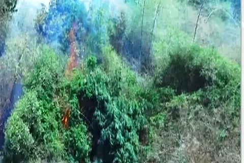 SRI fire