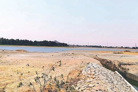 Untitled design (18)