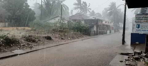nrp rain