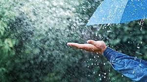 rain