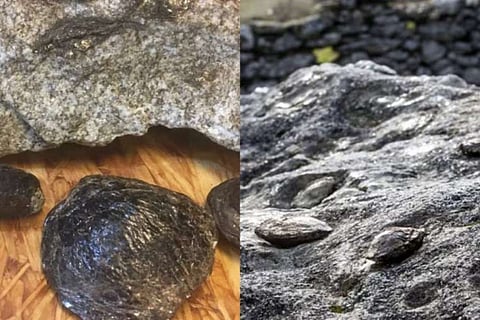 stone new
