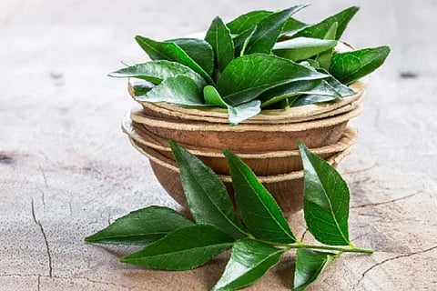 Curryleaves Benefits