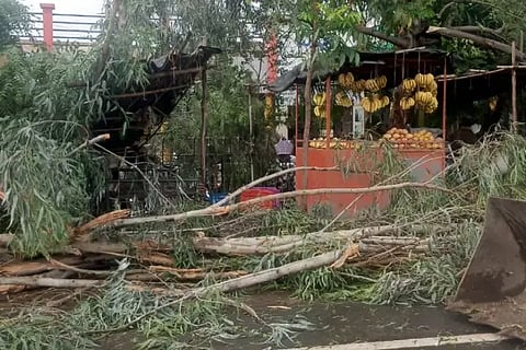 Damage to rain-winds in Muddebhila