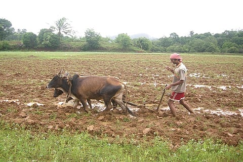 Farmers gear up for Monsoon farming