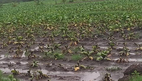 ಮುಂದುವರಿದ ಮಳೆ ಅವಾಂತರ