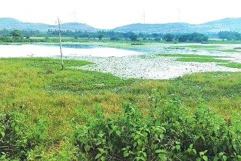 Kundur, lake, silt, encroachment,