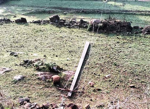 ಧರೆಗುರುಳಿದ ನಾಲ್ಕು ವಿದ್ಯುತ್ ಕಂಬ