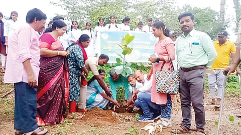 ನಿತ್ಯವೂ ಪರಿಸರ ದಿನವಾಲಿ
