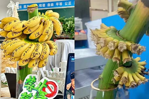 Chinese Employees Now Ending The Stress With Banana