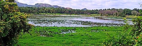 Kailancha-Ph-003-Gramayana Channamanahalli - Story -Photo Kere-2-6-2024