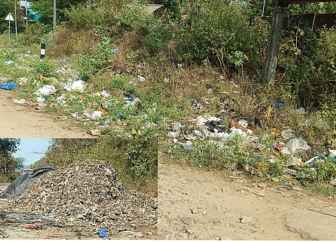 Litter.