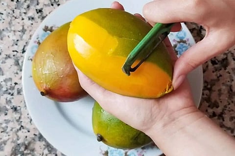 Mango