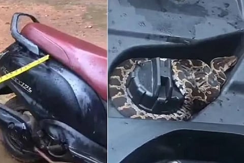 Python