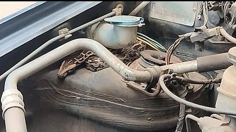 SNAKE in car