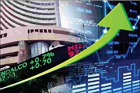 Share Market