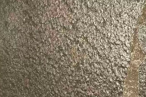 Spot the Coin 0