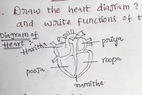 Student Heart