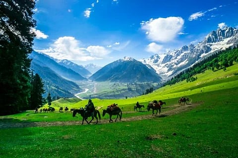 Untitled-design-9