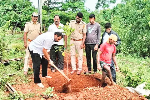 belapu