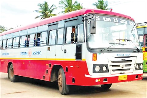 bus