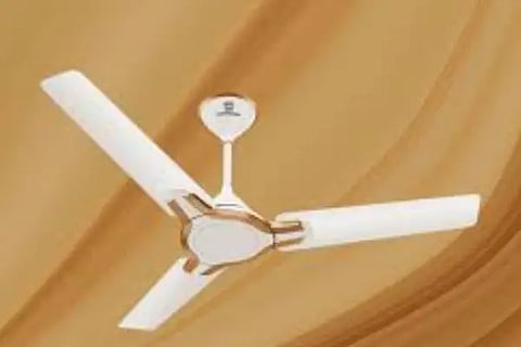 fan