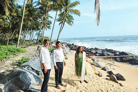 kadal