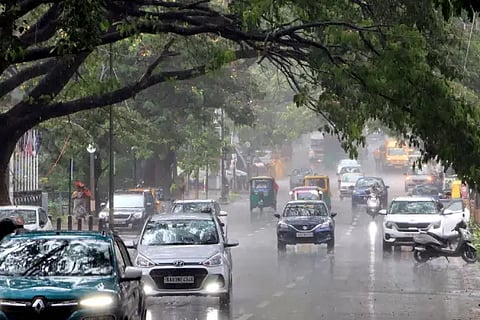 rain fall