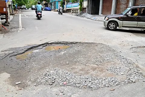 raste gundi