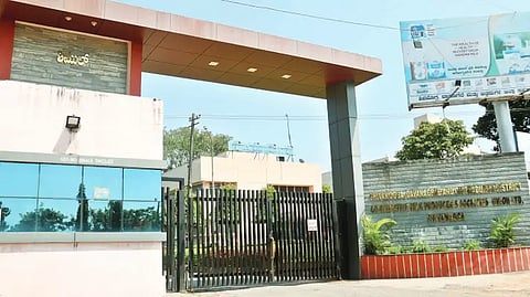 shimul