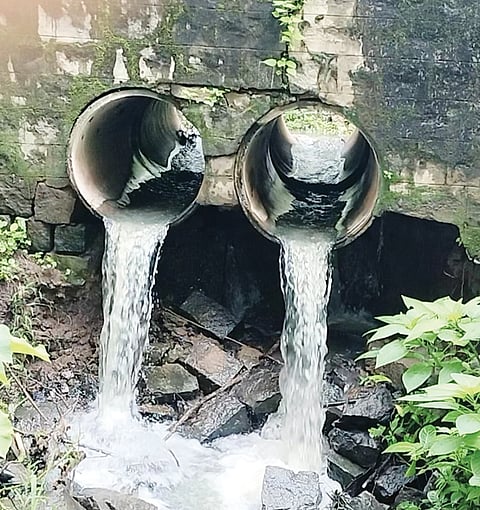 ಚಿತ್ರ ೧೫ ಡಿ. ಪಿ೦೧