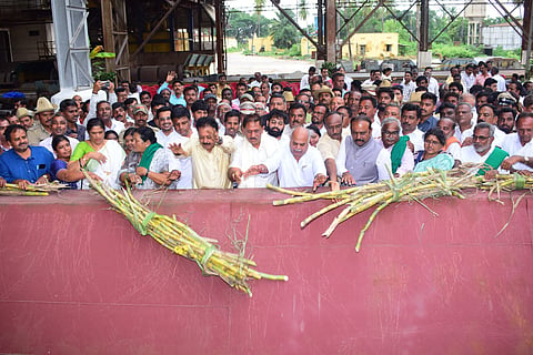 Driving for sugarcane milling in the Mysugar factory Mandya