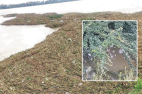 Kampli Bridge Waste Problem