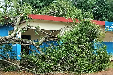 Sid_Tree falls on school