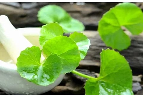 Untitled-design-21