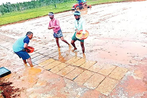 basavapattan