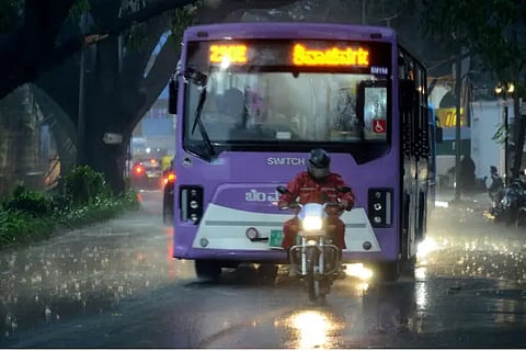 city rain