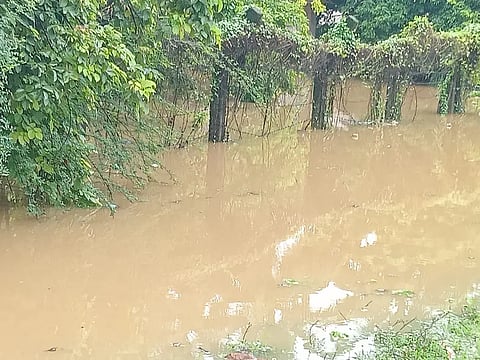 flood