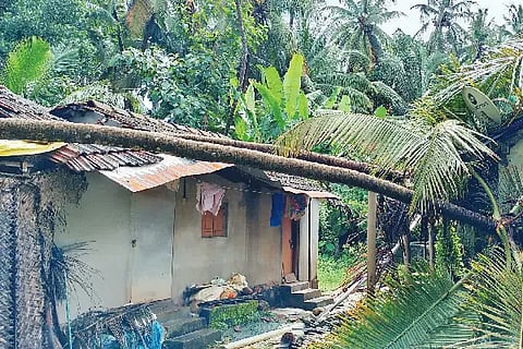 heavy wind