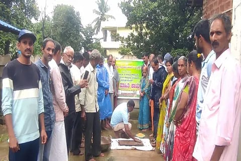 paddy farming