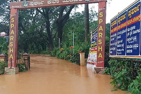 rain 1