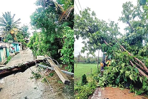 rain, wind, road, trees,