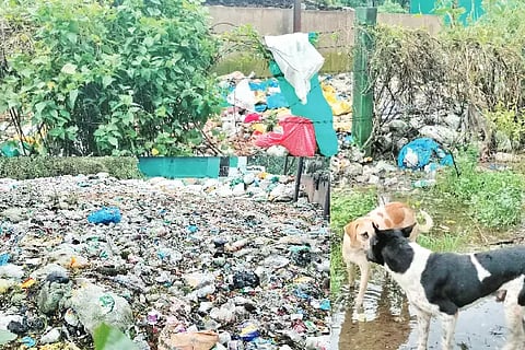 waste