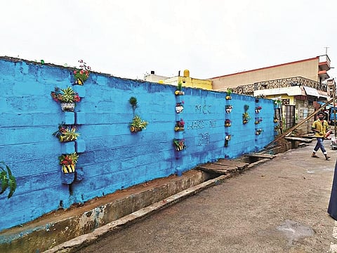 A wasteland is now a beautiful place an innovative initiative in Mysore
