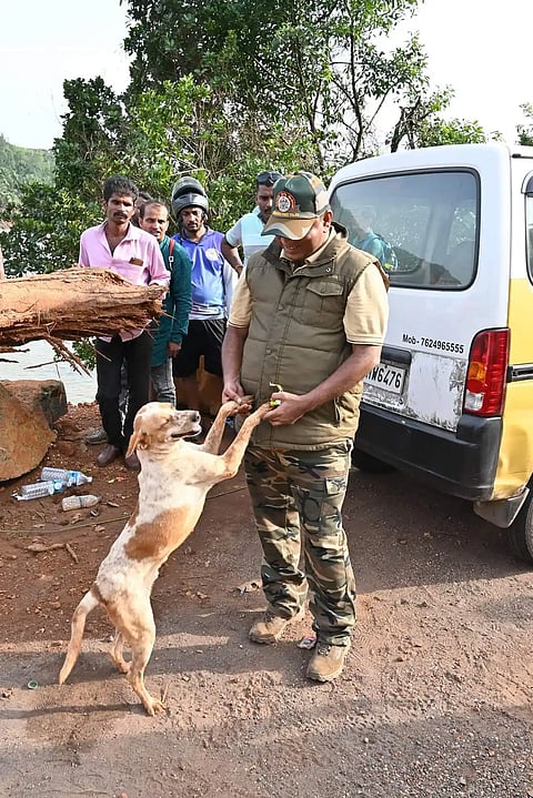 Dog so karwar
