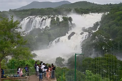 Falls (1)