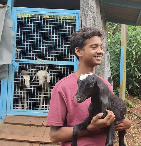 NANDAN
