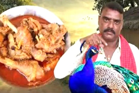 Peacock Curry