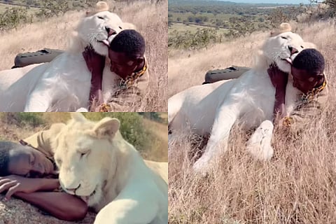 Viral video captures unlikely bond between man and lioness
