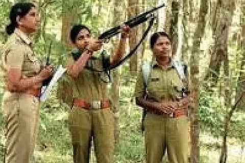 forest officer