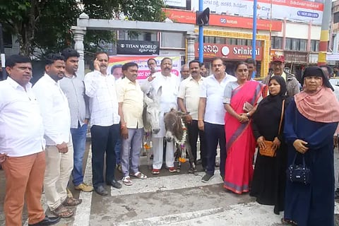 protest-cm